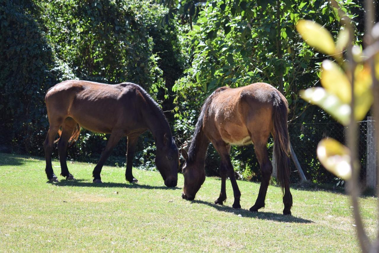 Pousada Appaloosa Águas de Lindóia Buitenkant foto